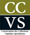 Image logo ccvs